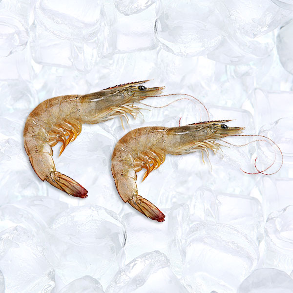 Awesome Product Image