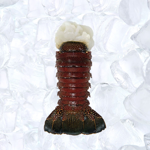 Awesome Product Image